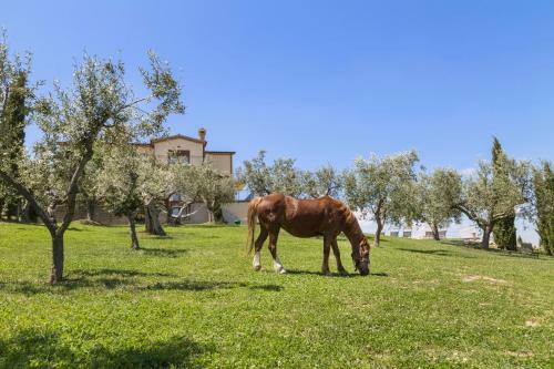 Agroturismo Agriturismo Le Bosche