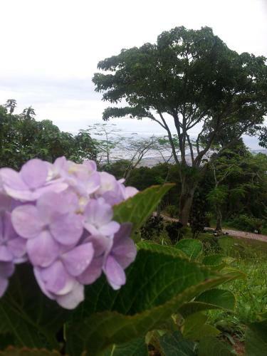 Hotel The Regency Jerai Hill Resort