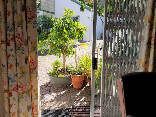 Apartment Serendipity