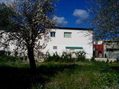 Casa Vacanze Mandorlo In Fiore