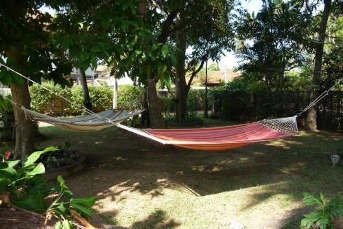 Hostal Cinnamon Guesthouse