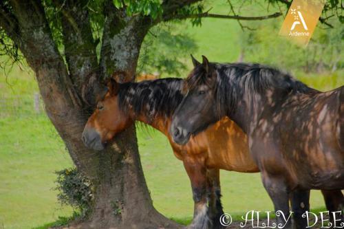 Agroturismo La Ferme D'a Yaaz