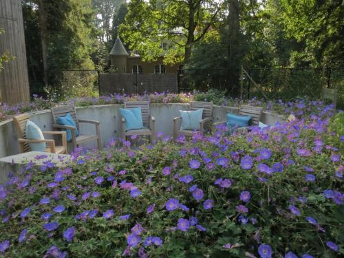 Bed & Breakfast Jan Van Ghent