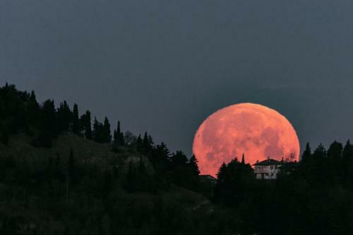 Bed & Breakfast Corte Ca' Bosco