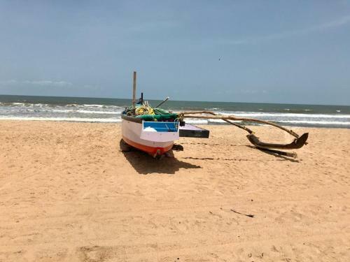 Hostal Pele's Windsong Wood Cottage On The Beach