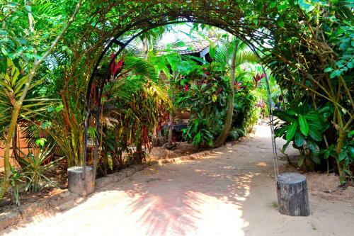 Hostal Pele's Windsong Wood Cottage On The Beach