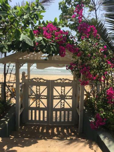 Hostal Pele's Windsong Wood Cottage On The Beach
