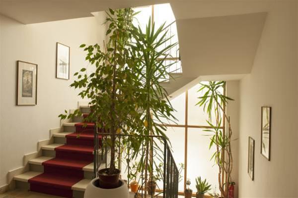 Apartamento Waldhaus Igls