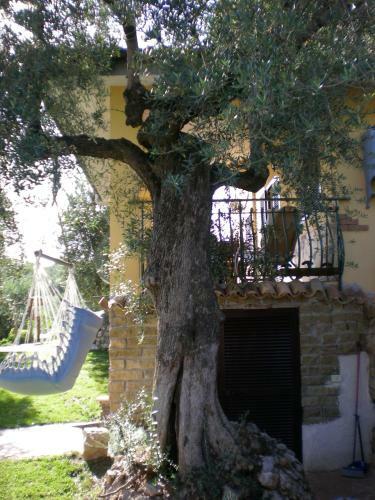 Bed & Breakfast Buenavistasurfmed