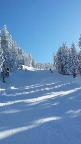 Apartamento Landhaus Tirol