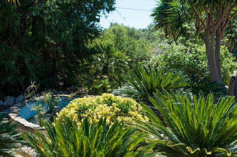 Villa Conchita
