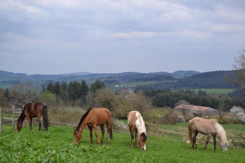 Les Perruchons Ancienne Grange R�nov�e Avec Soin