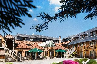 Hotel Et Spa Le Lion D'or