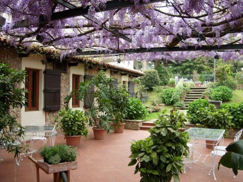 Agroturismo Villa La Nina