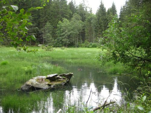 Apartamento Landhof Adlerhorst