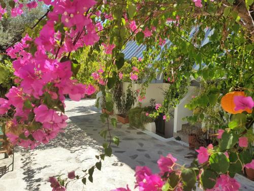 Apartamento Flora Rooms