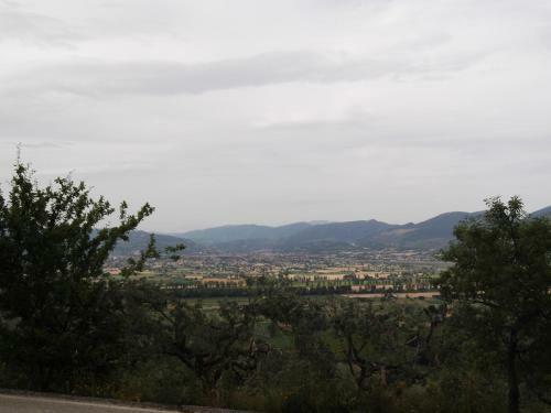 Hostal A Casa Di M� Affittacamere