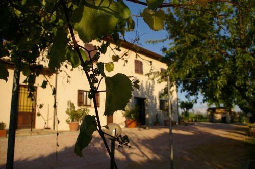 Agroturismo Cardinal Girolamo