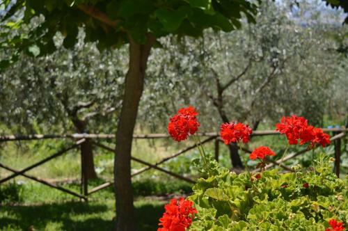 Agroturismo Cardinal Girolamo