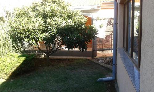 One-bedroom Apartment Medulin Near Sea