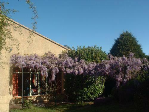 Hotel H�tel La Garrigue