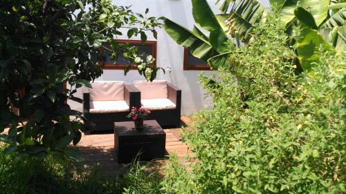 Agroturismo Villa Canaria