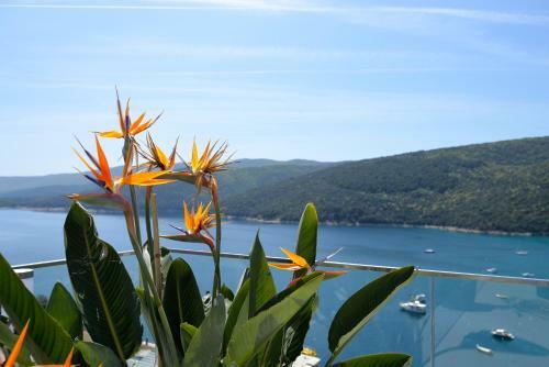 Apartments Palma Rabac