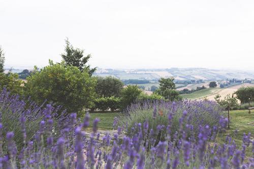 Agroturismo Solea Albergo Di Campagna
