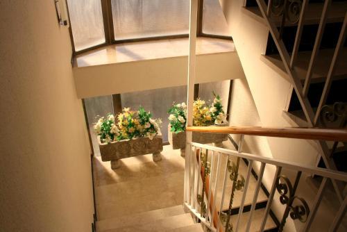 Hostal Pension Reina Josefina