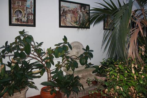 Hostal Pension Reina Josefina