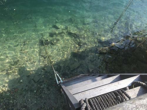 Apartments Excelsior