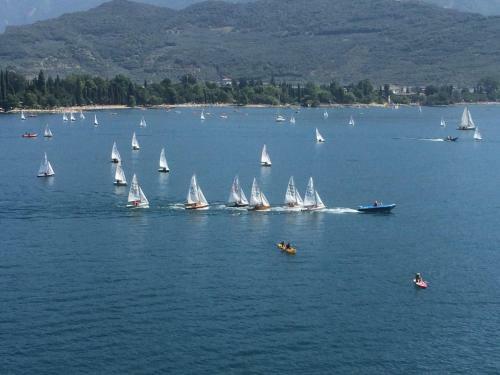 Apartments Excelsior