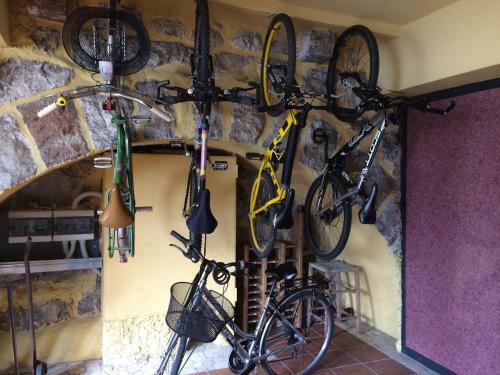 Apartments Excelsior