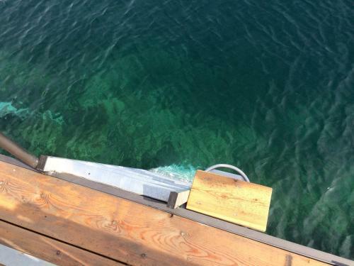 Apartments Excelsior