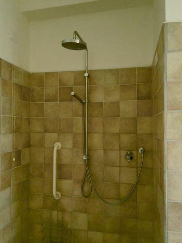 Apartments Excelsior