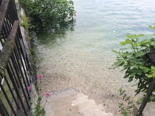 Apartments Excelsior