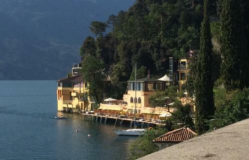 Apartments Excelsior