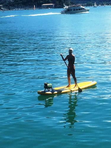 Apartments Excelsior