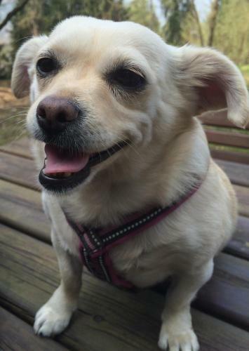 Apartments Excelsior