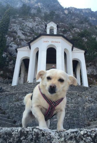 Apartments Excelsior