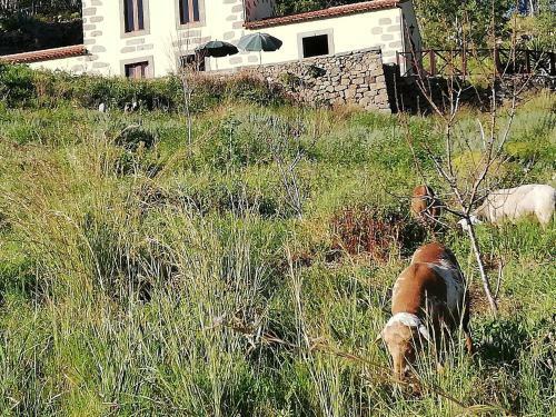 Agroturismo Casa Rural Las Caldereras