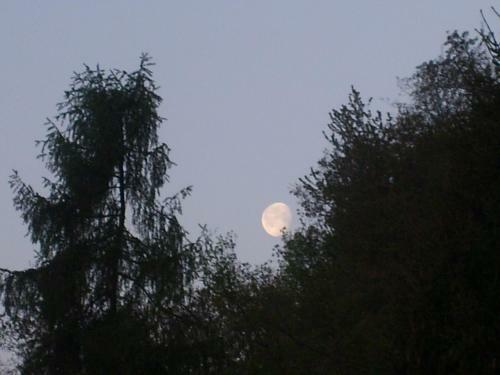 Agroturismo B&B Monte Tesobo