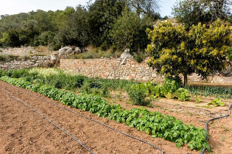 Agroturismo Ca Sa Vilda Marge