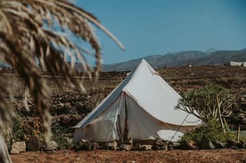 Albergue Twinfin Surf Camp