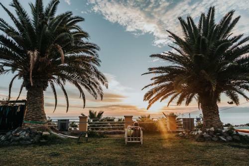 Albergue Twinfin Surf Camp