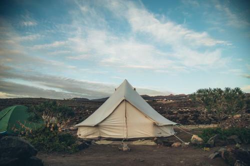 Albergue Twinfin Surf Camp