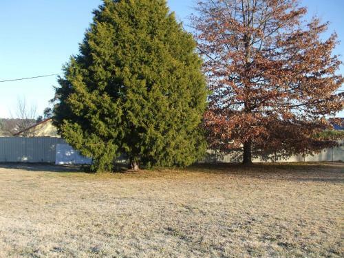 Anna Bella Motel Glen Innes