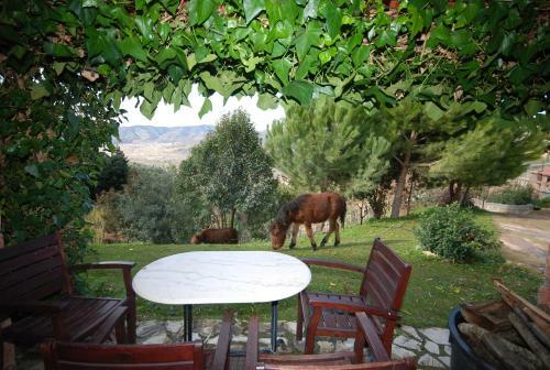 Hotel Aphrodite's Inn Kalavrita