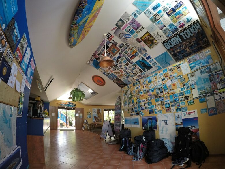 Albergue Cool Bananas Backpackers
