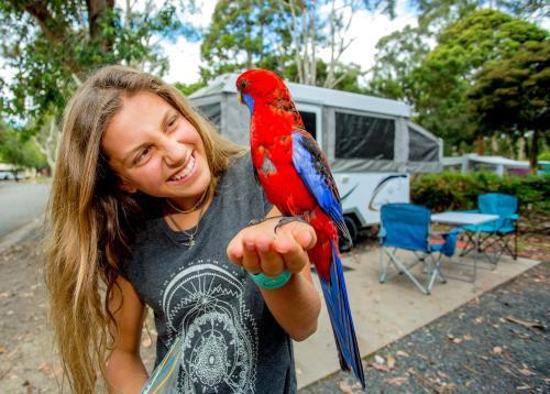 Big4 Yarra Valley Holiday Park